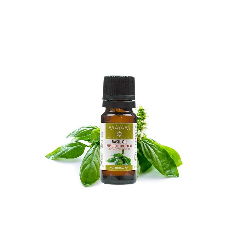 Ulei esențial de Busuioc tropical 10 ml 