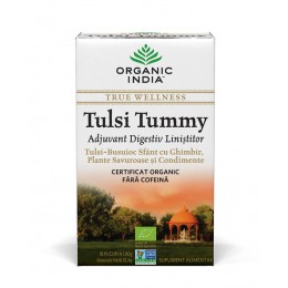 Ceai Digestiv Tulsi (Busuioc Sfant) Tummy cu Ghimbir, Plante Savuroase si Condimente Plicuri